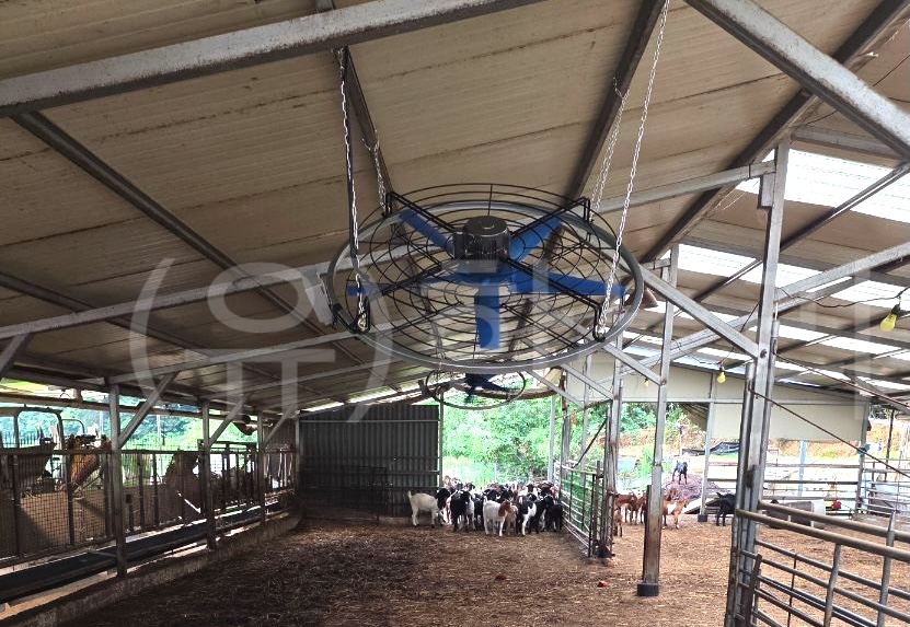 고정형 8극 환풍기